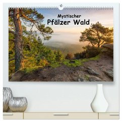 Mystischer Pfälzer Wald (hochwertiger Premium Wandkalender 2026 DIN A2 quer), Kunstdruck in Hochglanz