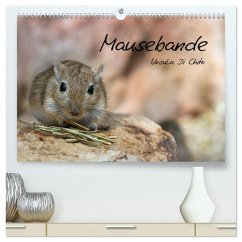 Mausebande (hochwertiger Premium Wandkalender 2026 DIN A2 quer), Kunstdruck in Hochglanz