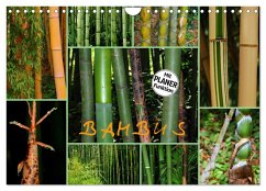 Cover BAMBUS (Wandkalender 2026 DIN A4 quer), CALVENDO Monatskalender