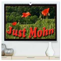 Cover Just Mohn (hochwertiger Premium Wandkalender 2026 DIN A2 quer), Kunstdruck in Hochglanz