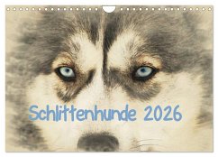 Schlittenhunde 2026 (Wandkalender 2026 DIN A4 quer), CALVENDO Monatskalender Schlittenhunde 2026 (Wandkalender 2026 DIN A4 quer), CALVENDO Monatskalender
