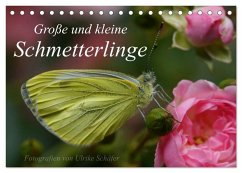Große und kleine Schmetterlinge (Tischkalender 2026 DIN A5 quer), CALVENDO Monatskalender Große und kleine Schmetterlinge (Tischkalender 2026 DIN A5 quer), CALVENDO Monatskalender