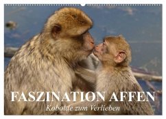 Faszination Affen. Kobolde zum Verlieben (Wandkalender 2026 DIN A2 quer), CALVENDO Monatskalender