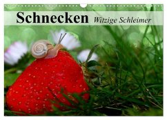 Schnecken. Witzige Schleimer (Wandkalender 2026 DIN A3 quer), CALVENDO Monatskalender