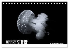 Meerestiere Bilder in Schwarz Weiss (Tischkalender 2026 DIN A5 quer), CALVENDO Monatskalender Meerestiere Bilder in Schwarz Weiss (Tischkalender 2026 DIN A5 quer), CALVENDO Monatskalender