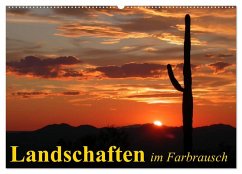 Cover Landschaften im Farbrausch (Wandkalender 2026 DIN A2 quer), CALVENDO Monatskalender