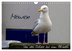 Möwen - Von der Ostsee bis zum Atlantik (Wandkalender 2026 DIN A4 quer), CALVENDO Monatskalender