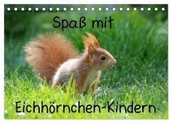 Spaß mit Eichhörnchen-Kindern (Tischkalender 2026 DIN A5 quer), CALVENDO Monatskalender