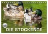 Emotionale Momente: Die Stockente.... - Bild 1