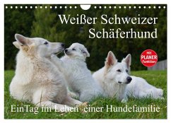 Weißer Schweizer Schäferhund - Ein Tag im Leben einer Hundefamilie (Wandkalender 2026 DIN A4 quer), CALVENDO Monatskalender Weißer Schweizer Schäferhund - Ein Tag im Leben einer Hundefamilie (Wandkalender 2026 DIN A4 quer), CALVENDO Monatskalender