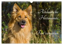Cover Altdeutsche Hütehunde - Fast vergessen (Wandkalender 2026 DIN A3 quer), CALVENDO Monatskalender