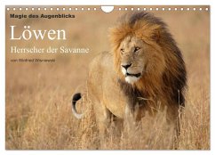 Cover Magie des Augenblicks - Löwen - Herrscher der Savanne (Wandkalender 2026 DIN A4 quer), CALVENDO Monatskalender