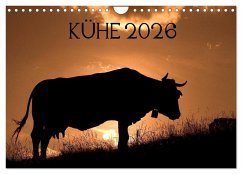Kühe 2026 (Wandkalender 2026 DIN A4 quer), CALVENDO Monatskalender