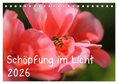 Schöpfung im Licht (Tischkalender 2026 DIN A5 quer), CALVENDO Monatskalender Schöpfung im Licht (Tischkalender 2026 DIN A5 quer), CALVENDO Monatskalender
