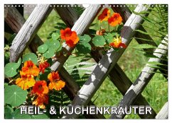 Heil- und Küchenkräuter (Wandkalender 2026 DIN A3 quer), CALVENDO Monatskalender
