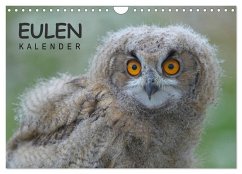Cover Eulen-Kalender (Wandkalender 2026 DIN A4 quer), CALVENDO Monatskalender