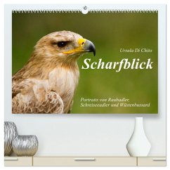 Cover Scharfblick (hochwertiger Premium Wandkalender 2026 DIN A2 quer), Kunstdruck in Hochglanz