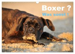 Cover Boxer ? Was sonst ! (Wandkalender 2026 DIN A3 quer), CALVENDO Monatskalender