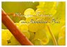 Wein- und Rebsorten aus Rheinland-Pfalz... - Bild 1