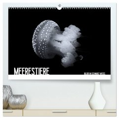 Meerestiere Bilder in Schwarz Weiss (hochwertiger Premium Wandkalender 2026 DIN A2 quer), Kunstdruck in Hochglanz