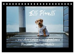 Cover Elli Pirelli... aus dem Leben eines fröhlichen Pinscher-Dackel-Mädels (Tischkalender 2026 DIN A5 quer), CALVENDO Monatskalender