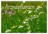Arzneipflanzen (Wandkalender 2026 DIN... - Bild 1