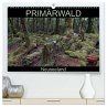 Primärwald - Neuseeland (hochwertiger... - Bild 1