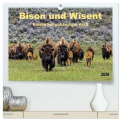 Cover Bison und Wisent - Riesen mit unbändiger Kraft (hochwertiger Premium Wandkalender 2026 DIN A2 quer), Kunstdruck in Hochglanz