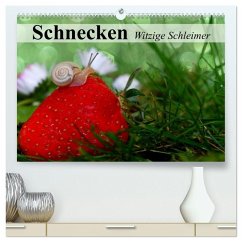 Schnecken. Witzige Schleimer (hochwertiger Premium Wandkalender 2026 DIN A2 quer), Kunstdruck in Hochglanz Schnecken. Witzige Schleimer (hochwertiger Premium Wandkalender 2026 DIN A2 quer), Kunstdruck in Hochglanz
