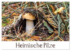 Heimische Pilze (Wandkalender 2026 DIN A2 quer), CALVENDO Monatskalender Cover Heimische Pilze (Wandkalender 2026 DIN A2 quer), CALVENDO Monatskalender