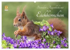 Besondere Augenblicke mit Eichhörnchen (Wandkalender 2026 DIN A2 quer), CALVENDO Monatskalender Cover Besondere Augenblicke mit Eichhörnchen (Wandkalender 2026 DIN A2 quer), CALVENDO Monatskalender