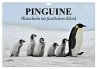 Pinguine - Watscheln im festlichen... - Bild 1