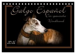 Galgo Español 2026- Der spanische Windhund (Tischkalender 2026 DIN A5 quer), CALVENDO Monatskalender Galgo Español 2026- Der spanische Windhund (Tischkalender 2026 DIN A5 quer), CALVENDO Monatskalender