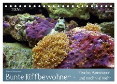 Cover Bunte Riffbewohner - Fische, Anemonen und noch viel mehr (Tischkalender 2026 DIN A5 quer), CALVENDO Monatskalender
