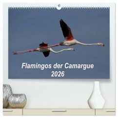 Flamingos der Camargue 2026 (hochwertiger Premium Wandkalender 2026 DIN A2 quer), Kunstdruck in Hochglanz