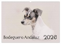 Bodeguero Andaluz 2026 (Wandkalender 2026 DIN A2 quer), CALVENDO Monatskalender Bodeguero Andaluz 2026 (Wandkalender 2026 DIN A2 quer), CALVENDO Monatskalender