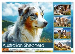 Australian Shepherd. Wanderfreude auf Pfoten im Bergsommer (Wandkalender 2026 DIN A2 quer), CALVENDO Monatskalender