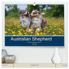 Australian Shepherd 2026 (hochwertiger Premium Wandkalender 2026 DIN A2 quer), Kunstdruck in Hochglanz
