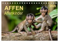 Affen - Affenkinder (Tischkalender 2026 DIN A5 quer), CALVENDO Monatskalender