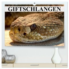 Cover Giftschlangen (hochwertiger Premium Wandkalender 2026 DIN A2 quer), Kunstdruck in Hochglanz