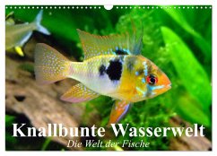 Cover Knallbunte Wasserwelt. Die Welt der Fische (Wandkalender 2026 DIN A3 quer), CALVENDO Monatskalender