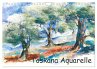 Toskana Aquarelle (Wandkalender 2026... - Bild 1