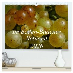 Im Baden-Badener Rebland 2026 (hochwertiger Premium Wandkalender 2026 DIN A2 quer), Kunstdruck in Hochglanz Im Baden-Badener Rebland 2026 (hochwertiger Premium Wandkalender 2026 DIN A2 quer), Kunstdruck in Hochglanz