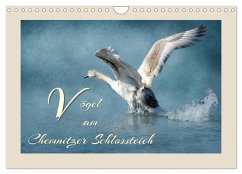 Cover Vögel am Chemnitzer Schlossteich (Wandkalender 2026 DIN A4 quer), CALVENDO Monatskalender