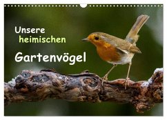Unsere heimischen Gartenvögel (Wandkalender 2026 DIN A3 quer), CALVENDO Monatskalender