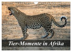 Cover Tier-Momente in Afrika (Wandkalender 2026 DIN A4 quer), CALVENDO Monatskalender