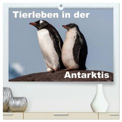 Tierleben in der Antarktis (hochwertiger Premium Wandkalender 2026 DIN A2 quer), Kunstdruck in Hochglanz