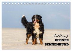 Cover Liebling BERNER SENNENHUND (Tischkalender 2026 DIN A5 quer), CALVENDO Monatskalender