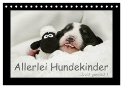Allerlei Hundekinder (Tischkalender 2026 DIN A5 quer), CALVENDO Monatskalender Allerlei Hundekinder (Tischkalender 2026 DIN A5 quer), CALVENDO Monatskalender