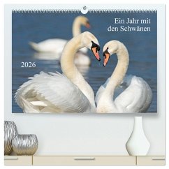 Cover Ein Jahr mit den Schwänen (hochwertiger Premium Wandkalender 2026 DIN A2 quer), Kunstdruck in Hochglanz